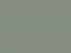 দুর্দশা, স্বর্ণকেশী, পারে সে অপ্রচলিত ডিজিটাল বাংলাদেশী সেস্ক ভিডিও খেলার মাঠ